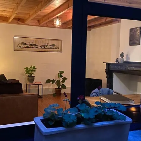 Apartment Duplex In Historical Centre With Private Courtyard Antwerp