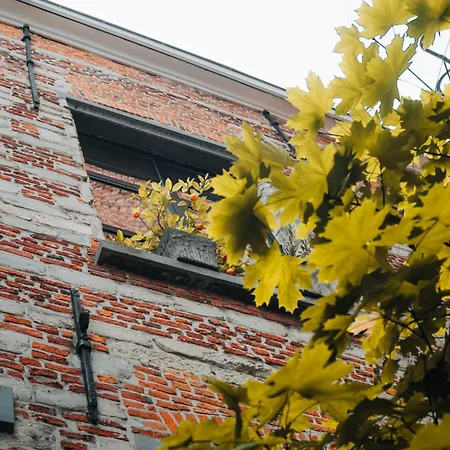 Duplex In Historical Centre With Private Courtyard Apartment *