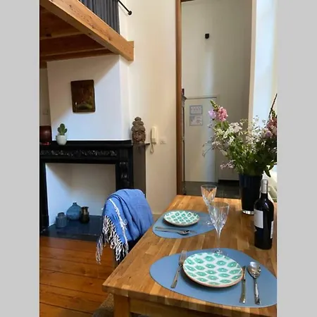 Duplex In Historical Centre With Private Courtyard * Anvers